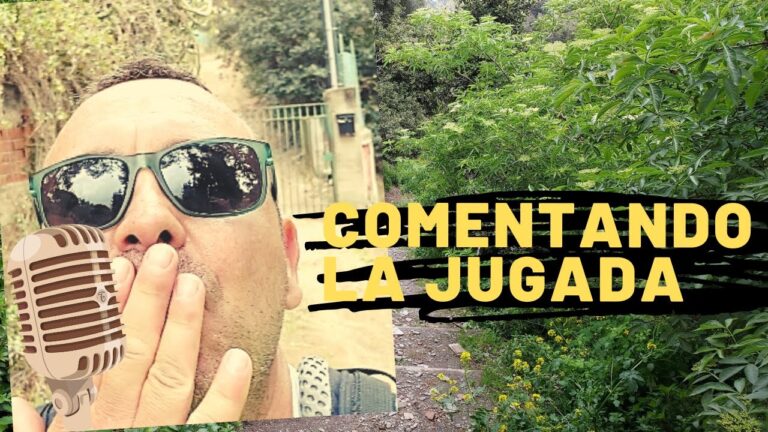Los mejores parques de Montcada i Reixac: ubicación y recomendaciones