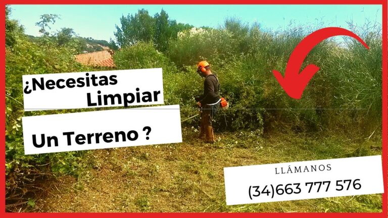 Empresas de Limpieza en Sant Fost de Campsentelles