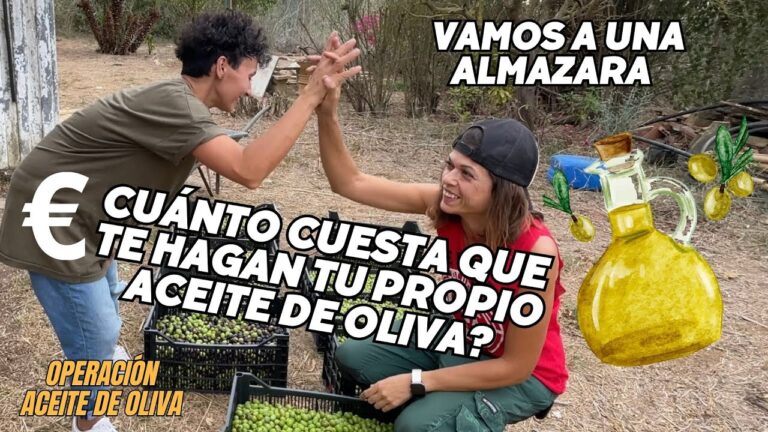 Gu&iacute;a para comprar productos de segunda mano en La Llagosta