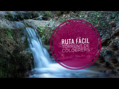 Senderismo Familiar en Ripollet: Mejores Rutas para Niños