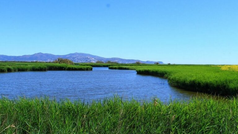 Gu&iacute;a para Encontrar Mercados Ecol&oacute;gicos en Martorelles