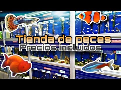 Tiendas de Tecnolog&iacute;a en Montcada i Reixac