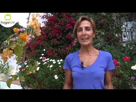 Gu&iacute;a de compra de flores en Ripollet