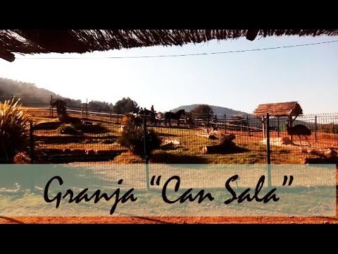 Servicios Sociales en Montorn&egrave;s del Vall&egrave;s: Gu&iacute;a Completa